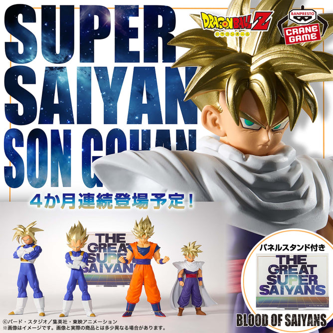 DRAGON BALL Z BLOOD OF SAIYANS - Super Saiyan Son Gohan - II
