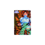 Carte Super Dragon ball Heroes : C13 SH7-BCP9 CP