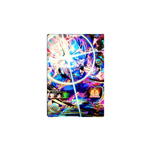 Carte Super Dragon ball Heroes : Gohan SH UGM4-064 UR