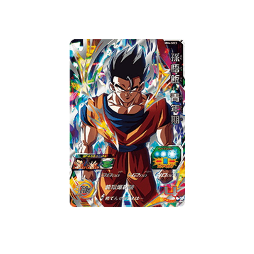 Carte Super Dragon ball Heroes : Gohan:Younghood MM4-SEC3 UR