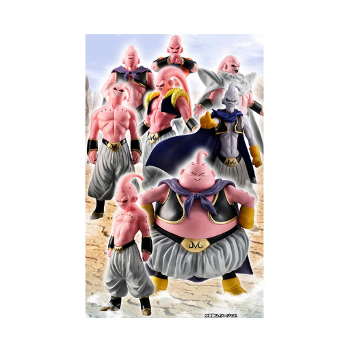 set HG special Buu